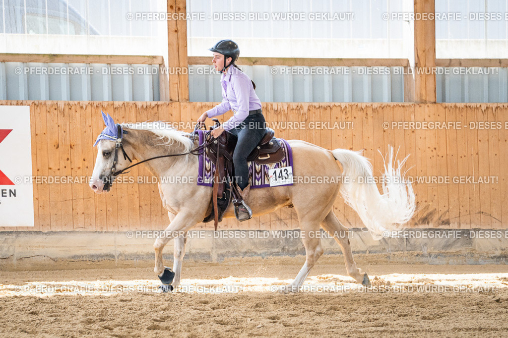 DSC03456 | Pferdegrafie