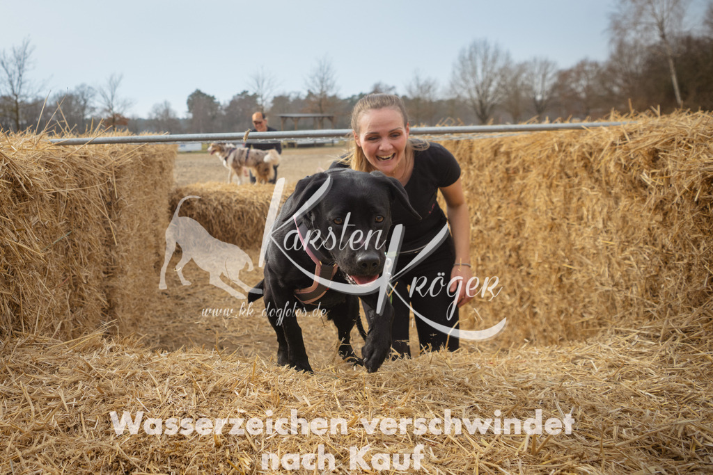 1138_ZZ94749 | kk-dogfotos