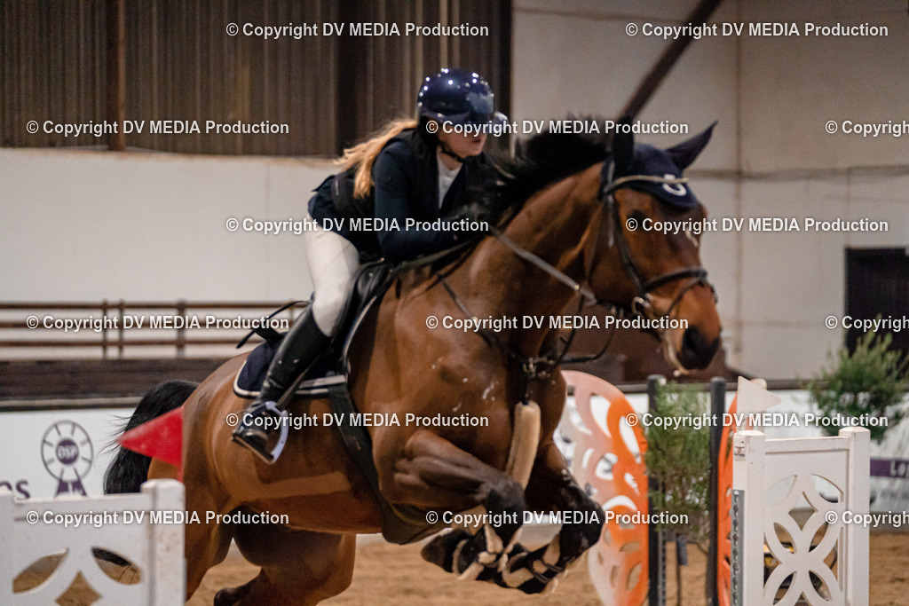 Kranichstein Tag 2-1162 | dv-media-shop - Realisiert mit Pictrs.com