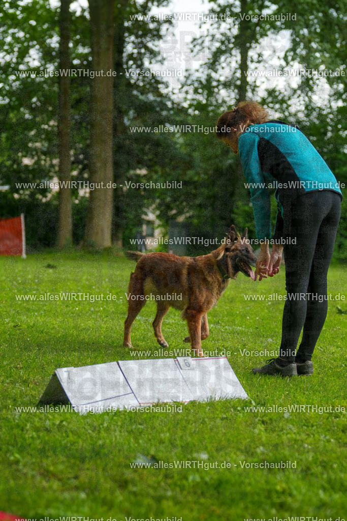 @allesWIRTHgut_Tierfotografie - www.allesWIRTHgut.de - 102003-7R508373 | Professionelle Tierfotografie in Mönchengladbach von Daniel Wirth (allesWIRTHgut). Liebevolle & natürliche Bilder von Hunden & Katzen für unvergessliche Erinnerungen.