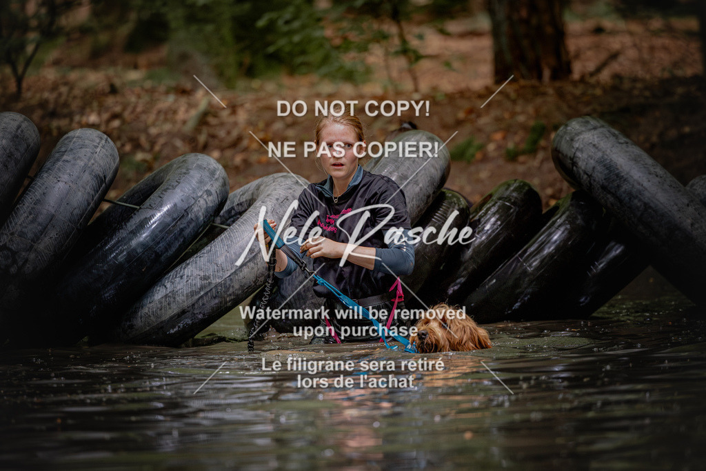 nelerasche_SaWingst1530-1600_133 | nelerasche