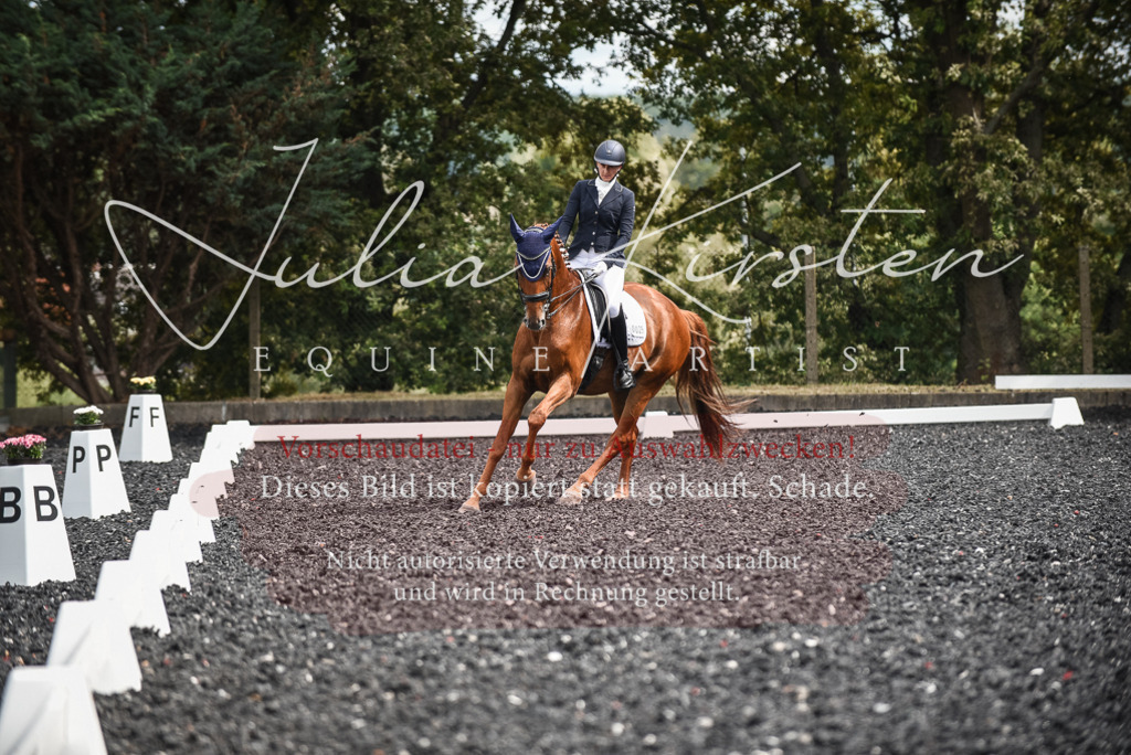 DSC_5042 | Pferde- und Turnierfotografie in Westsachsen. Pferdeportraits, Auftragszeichnungen und intuitive Kunst.
