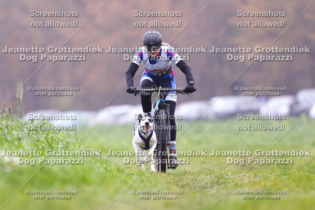 Dog Paparazzi - Visbeck 25 -163 | Dog Paparazzi Jeanette Grottendiek Fotografie & Videografie - Realisiert mit Pictrs.com