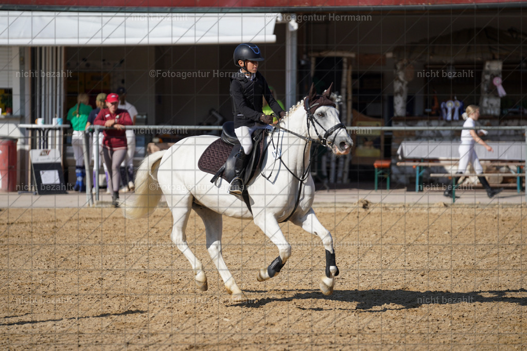 20240824-FAH07272 | Thierhaupten 2024, Bayerisches Landesponyturnier, Turnierbilder, Ponybilder, Turnierfotografen Bayern, Fotoagentur Herrmann