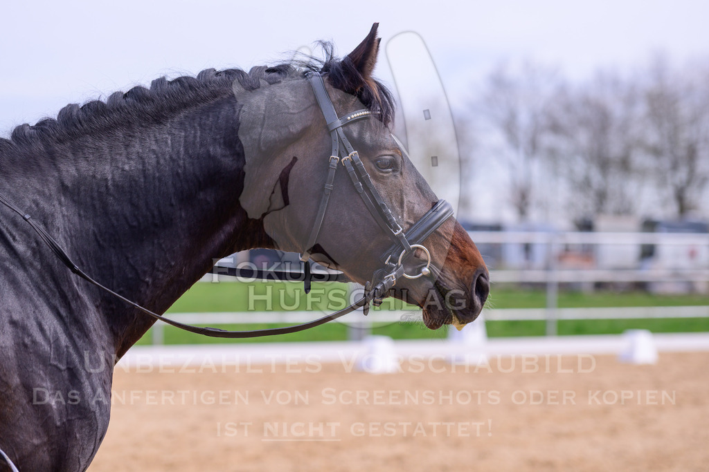 09042026-Mammendorf-Prfg01-0253 | Fokus Hufschlag Fotografie - Realisiert mit Pictrs.com