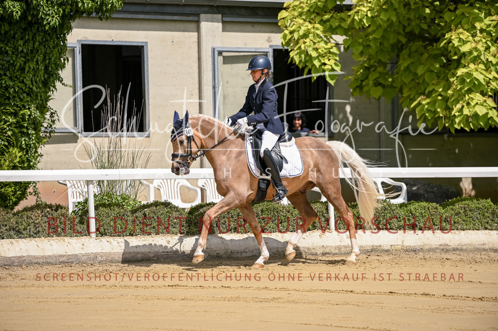 Schugtsche-Aluta25-48.Reitpferfdeprf.-29 | Schugtsche Fotografie - Realisiert mit Pictrs.com