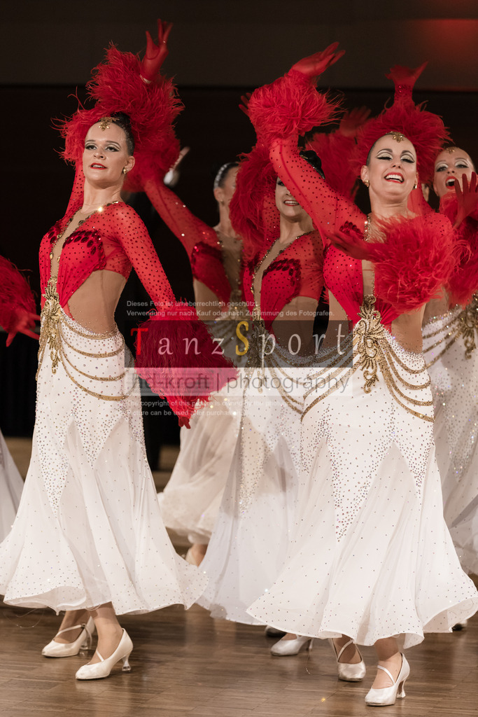 IMG_8316 | Tanzsportbilder, Standardtanz, Lateintanz, WDSF, DTV, LTVB, dancecomp, goc, hessen tanzt, blaues band der spree, walzer, tango, wiener walzer, slowfox, quickstepp, samba, rumba, cha-cha-cha, paso doble. jive, hd-kroft photography, turniertanzsport