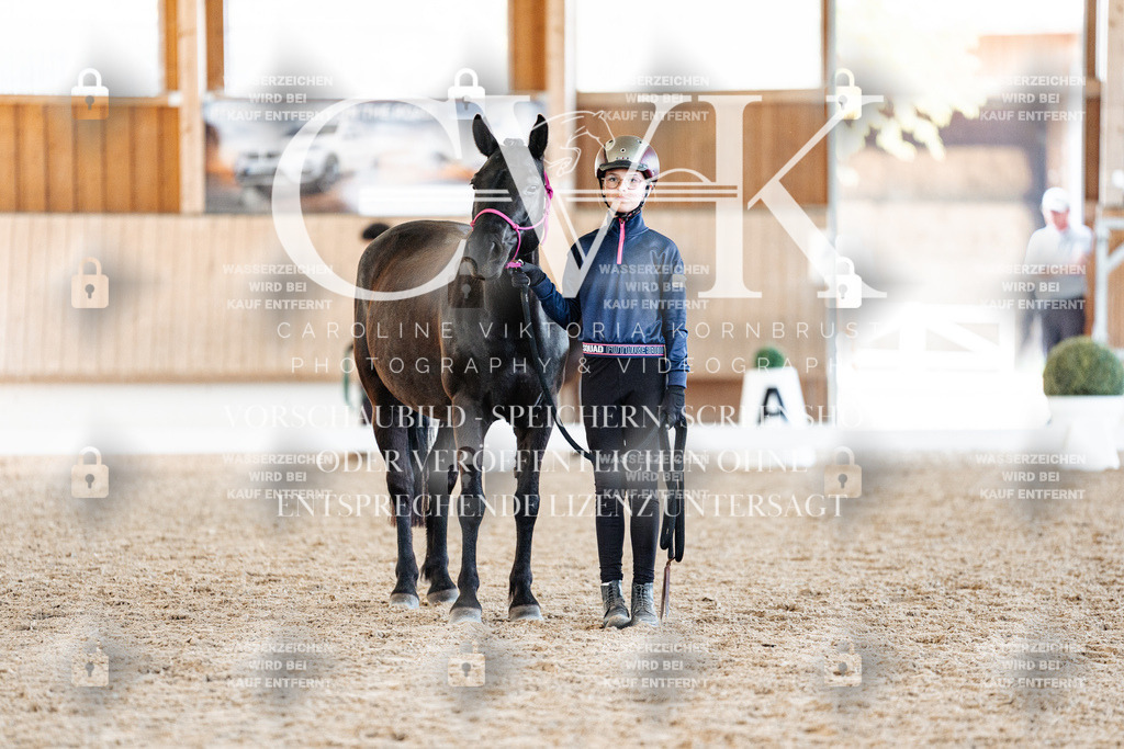 CK906835 | Turnierfotografie Pferdefotografie Trier Rheinland-Pfalz Pferdesport Reitsport Tierfotografie Sportfotografie Pferdevideo Pferdevideografie Equestrianvideography equestrianphotography  - Realisiert mit Pictrs.com