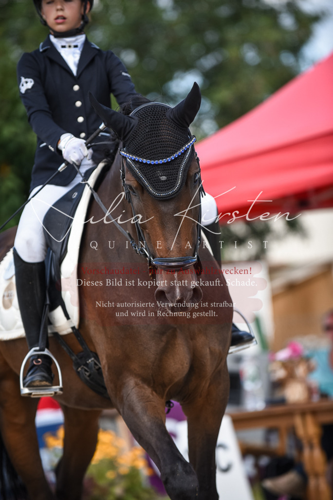 DSC_9413 | Pferde- und Turnierfotografie in Westsachsen. Pferdeportraits, Auftragszeichnungen und intuitive Kunst.