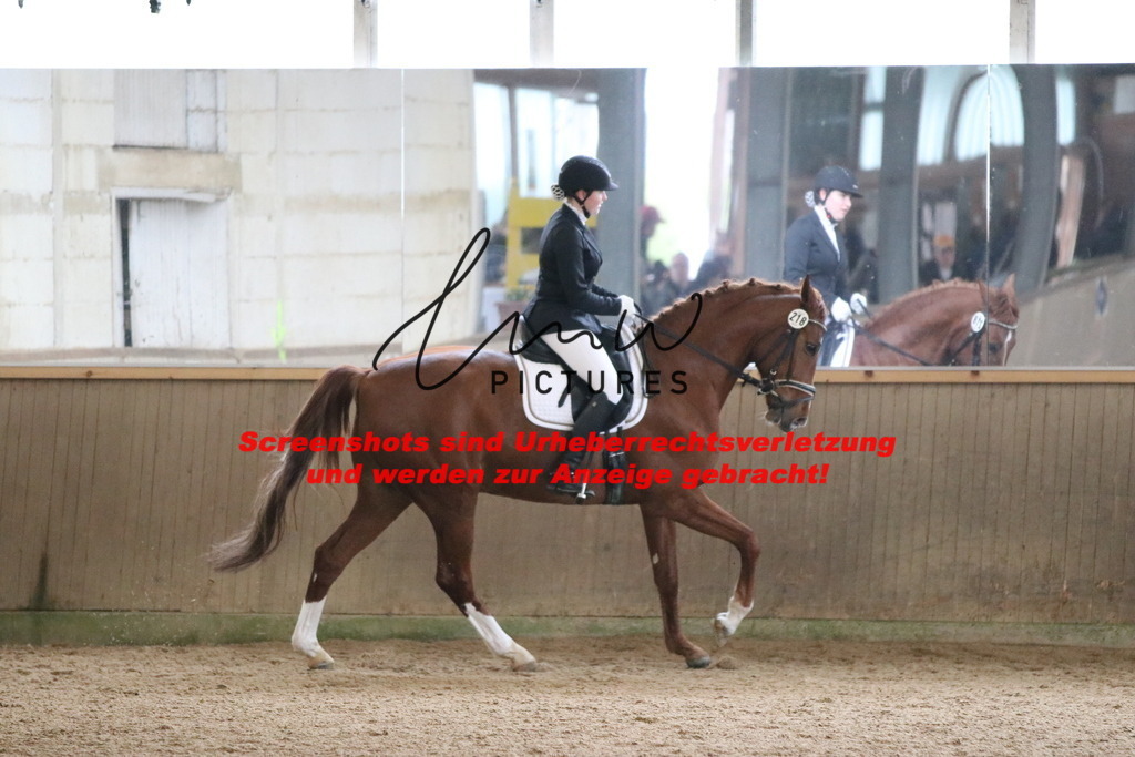 IMG_7774 | lmwpictures - Realisiert mit Pictrs.com