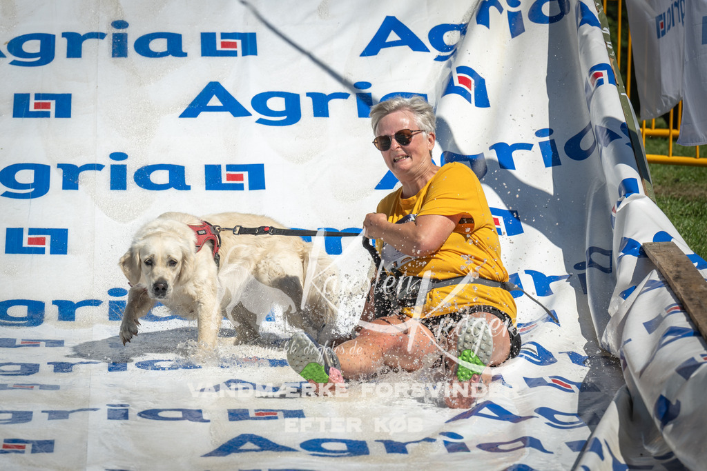 1307_ZZ98420 | kk-dogfotos