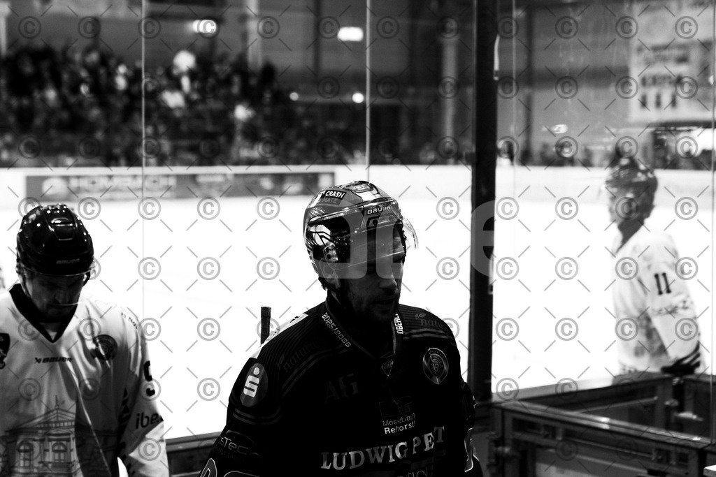 Alligators_vs_Bayreuth_10_2025-65 | Höchstadt Alligators Fotogalerie: Eishockey-Action aus Franken. Professionelle Spielfotos, Portraits & Stadionbilder zum Download. Jetzt entdecken! - Realisiert mit Pictrs.com