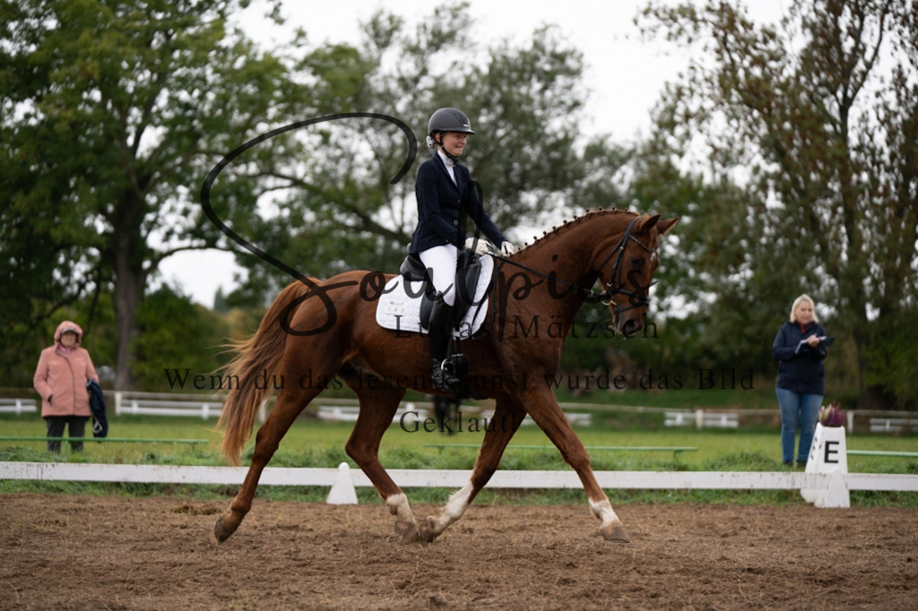 A7V05888 | Pferdefotograf