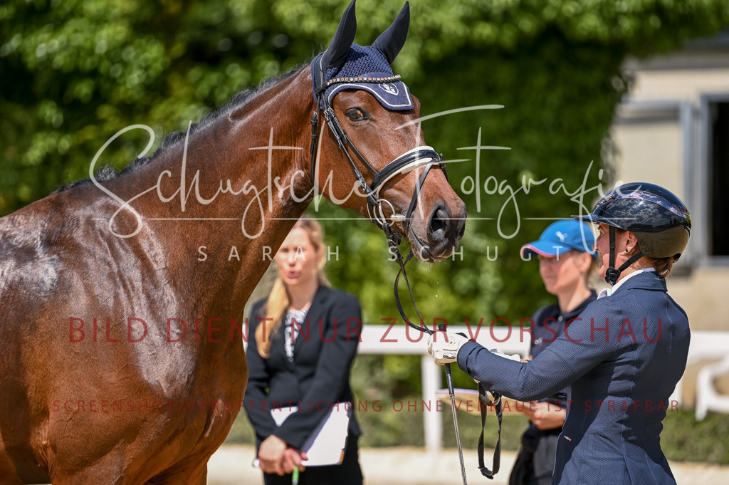 Schugtsche-Aluta25-48.Reitpferfdeprf.-61 | Schugtsche Fotografie - Realisiert mit Pictrs.com