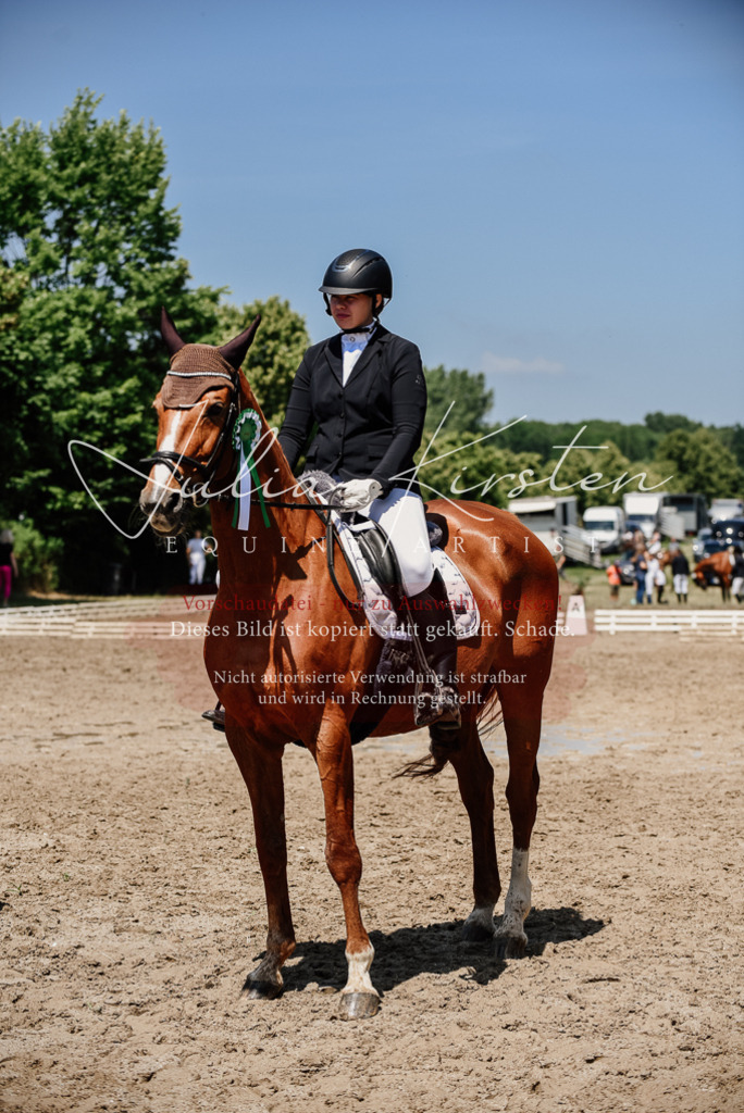 DSC_2053 | Pferde- und Turnierfotografie in Westsachsen. Pferdeportraits, Auftragszeichnungen und intuitive Kunst.