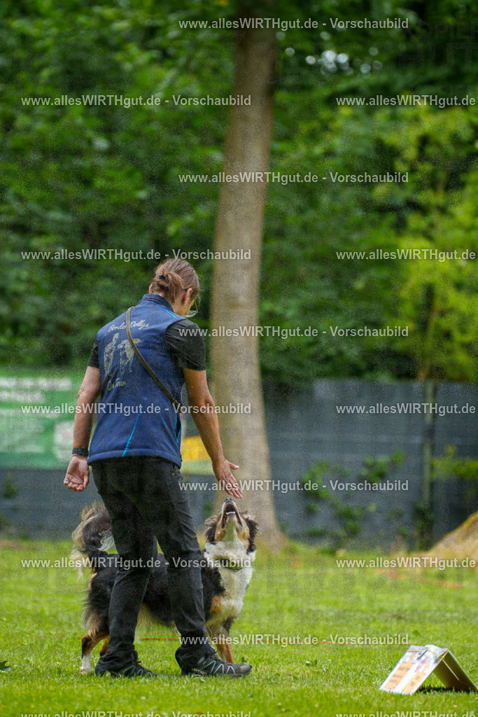 @allesWIRTHgut_Tierfotografie - www.allesWIRTHgut.de - 091826-7R506910 | Professionelle Tierfotografie in Mönchengladbach von Daniel Wirth (allesWIRTHgut). Liebevolle & natürliche Bilder von Hunden & Katzen für unvergessliche Erinnerungen.
