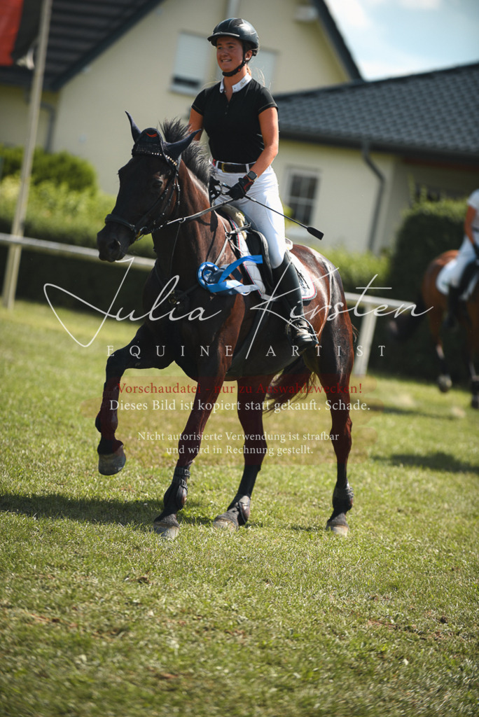 DSC_6847 | Pferde- und Turnierfotografie in Westsachsen. Pferdeportraits, Auftragszeichnungen und intuitive Kunst.