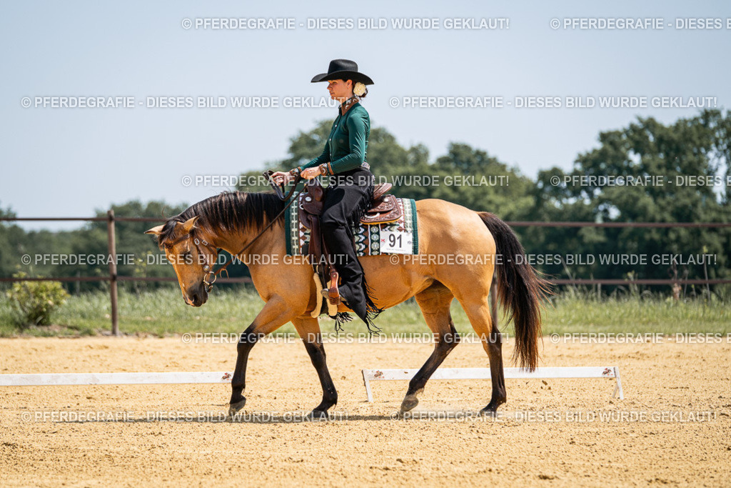 DSC01232 | Pferdegrafie