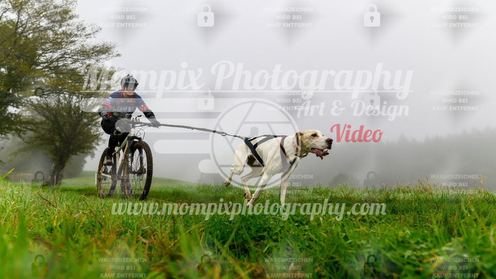 MompixPhotography_20TSB_E5_Bike-82 | PayLife