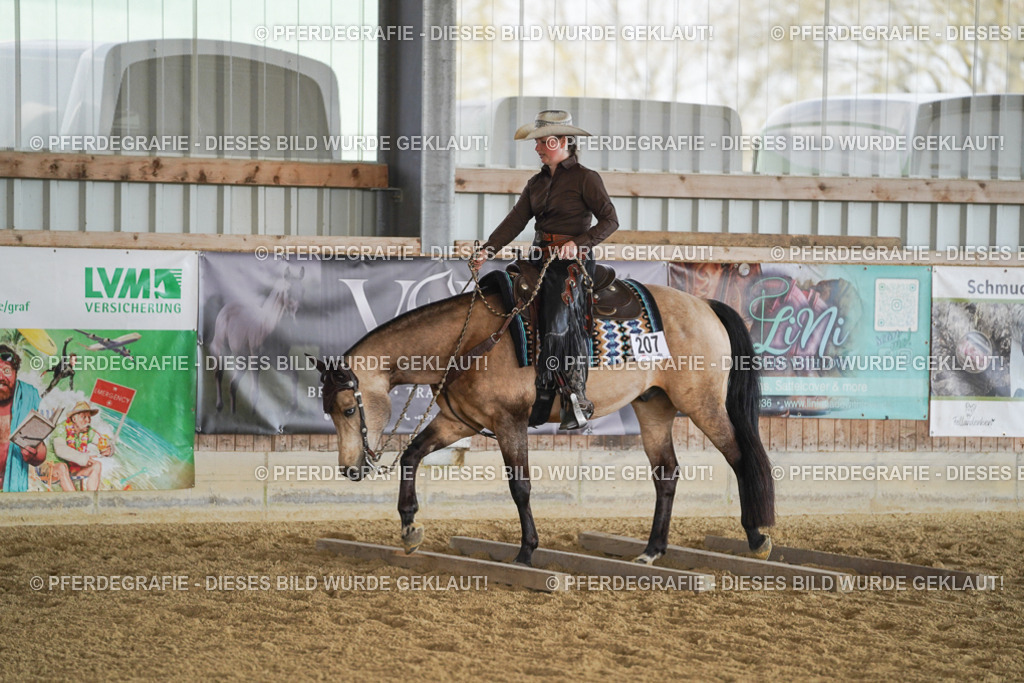 DSC00119 | Pferdegrafie