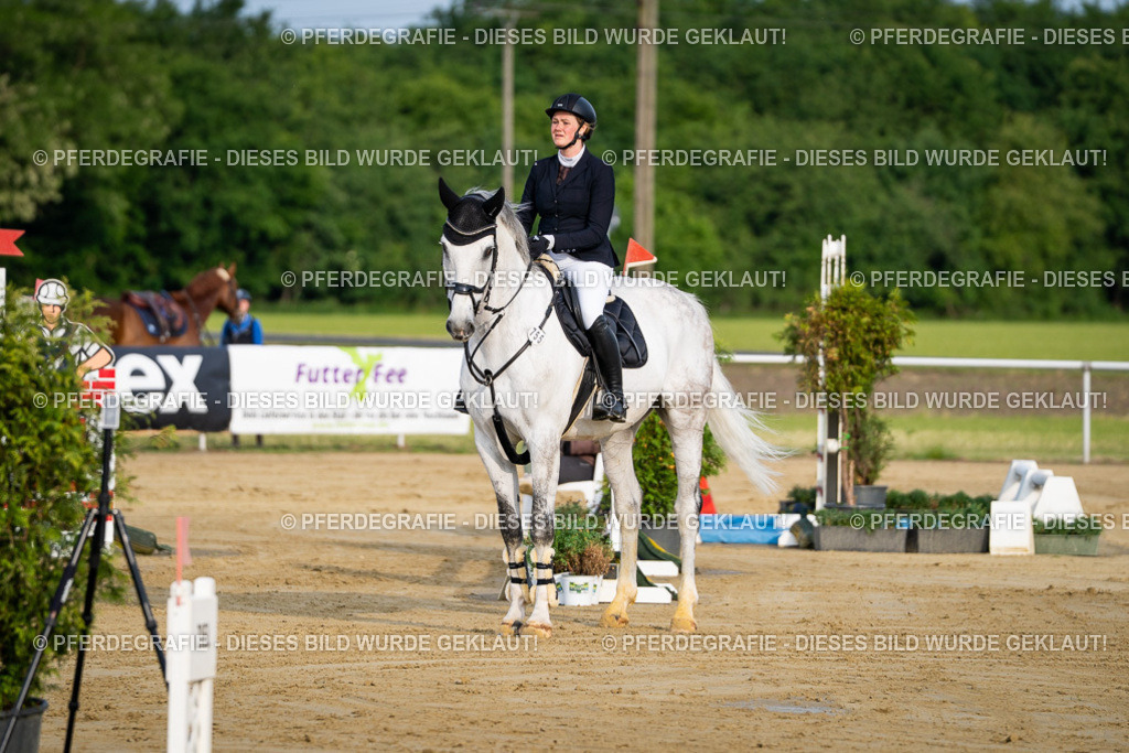 DSC02212 | Pferdegrafie