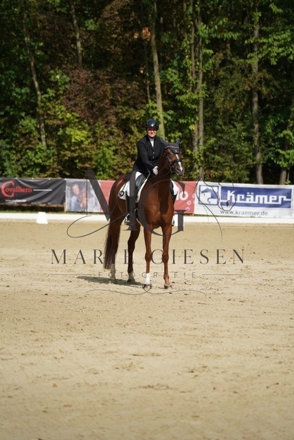 VAN00647 | Marie Giesen Fotografie - Realisiert mit Pictrs.com