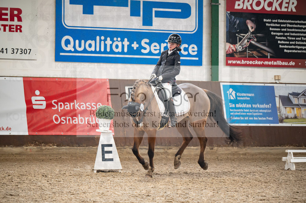 Hallenreittunier Voxtrup 2023 | Entdecke hochwertige Reitturnierfotos von Foto Oger. Professionell, emotional und authentisch – jetzt Lieblingsmomente im Shop bestellen.Deutschlandweite Turnierfotografie. - Realisiert mit Pictrs.com