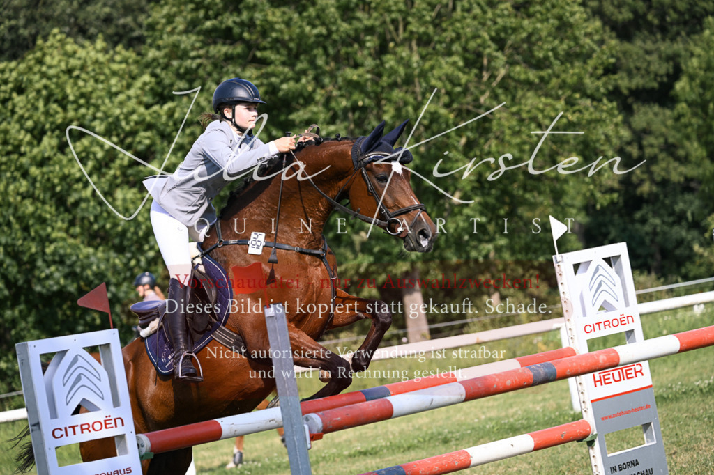DSC_1348 | Pferde- und Turnierfotografie in Westsachsen. Pferdeportraits, Auftragszeichnungen und intuitive Kunst.