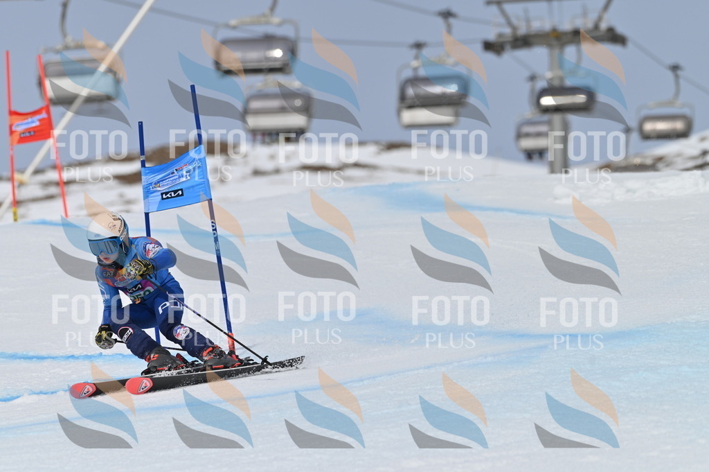 BGV_5000 | holidayphoto