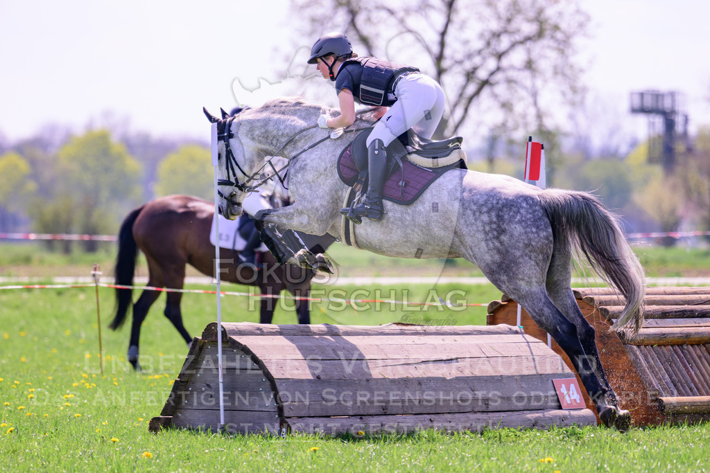 18042026-Gernlinden-01-1-0243 | Fokus Hufschlag Fotografie - Realisiert mit Pictrs.com