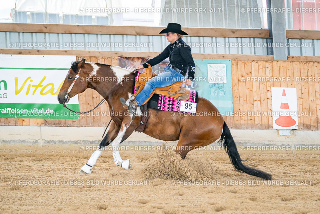 DSC04882 | Pferdegrafie