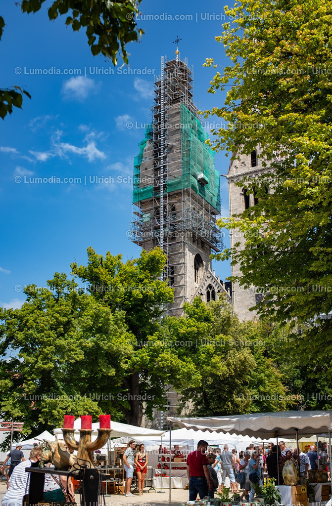 10049-13908 - Ton am Dom in Halberstadt | Stockfoto und Bilderpool mit Bildmaterial aus Deutschland, dem Harz, Halberstadt, Quedlinburg, Wernigerode und weltweit. Qualitativ hochwertige und professionelle Fotos anschauen und kaufen. - Realisiert mit Pictrs.com