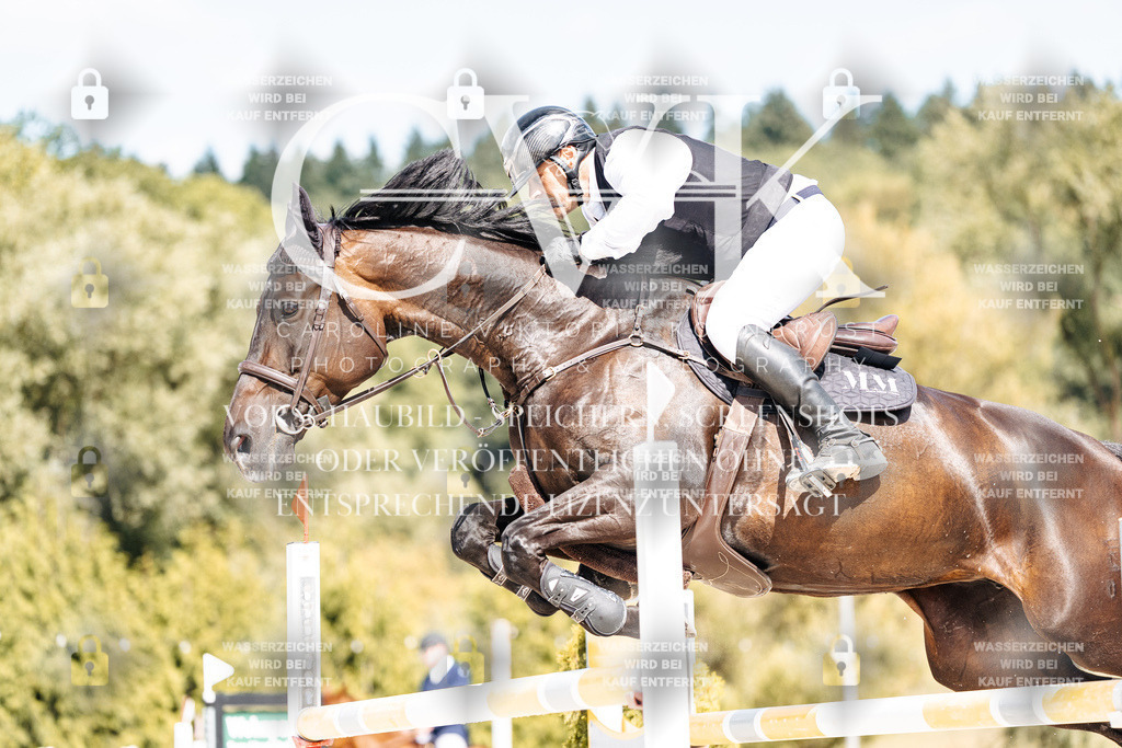 CK908777 | Turnierfotografie Pferdefotografie Trier Rheinland-Pfalz Pferdesport Reitsport Tierfotografie Sportfotografie Pferdevideo Pferdevideografie Equestrianvideography equestrianphotography  - Realisiert mit Pictrs.com