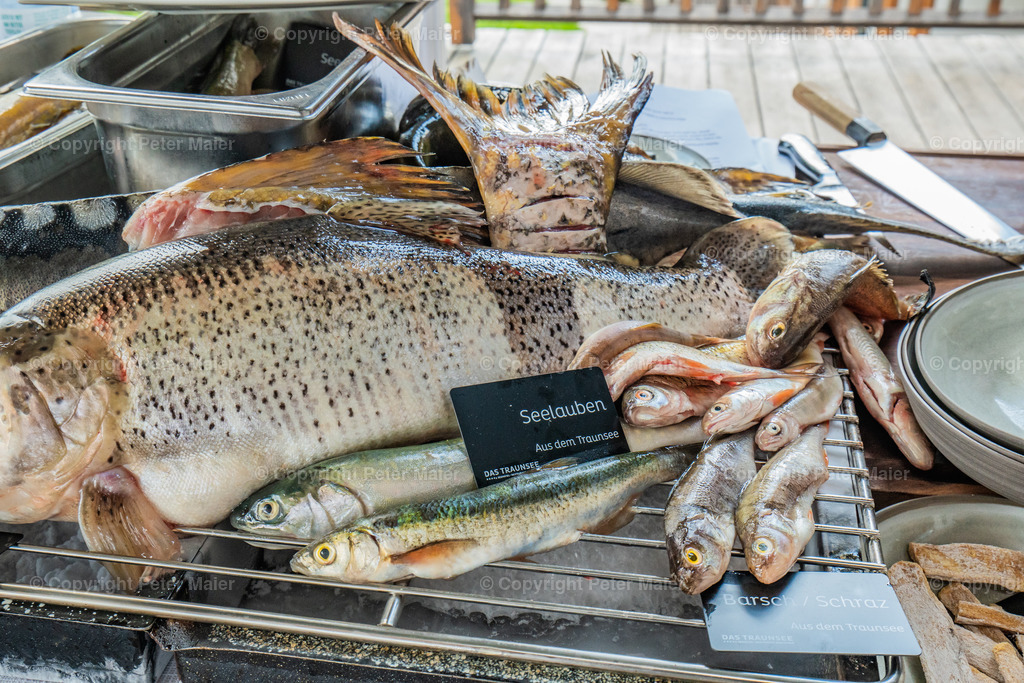 Slow Food Weissensee edit-29 | piet_flosse