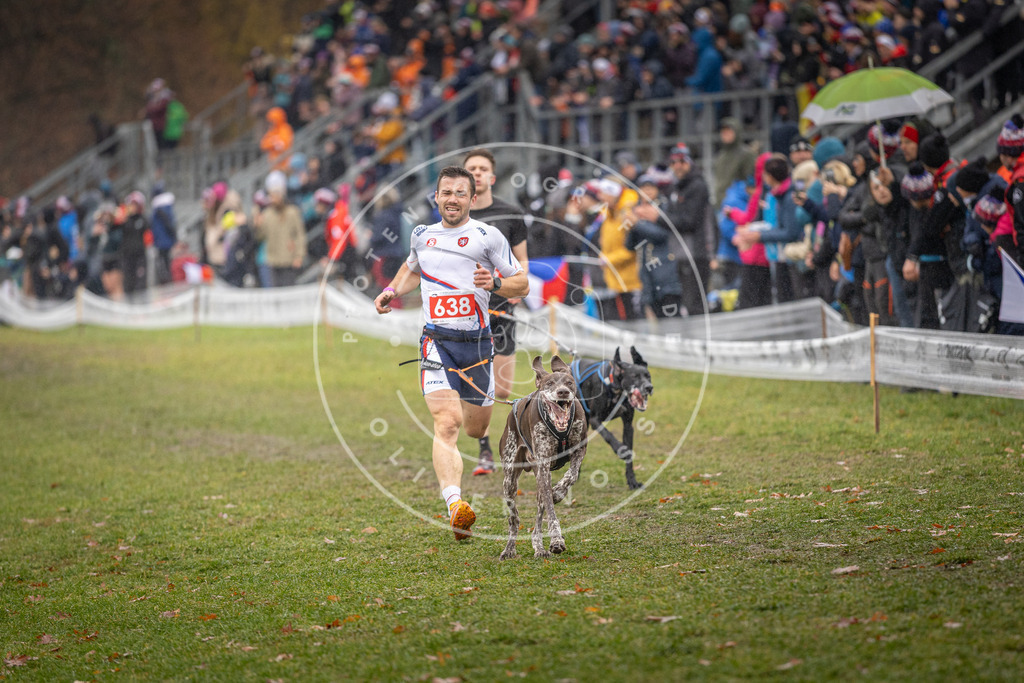 CaniXpix_DV3A9709 | Hundefotografie, Tierfotograf, Pfotenfotografie, Fotoshooting Hund, Hunde Portrait, Hundesport, Hundeportraits, Heideshooting, Hunde, Sportfotograf, Hundefotograf, Turnierhundsport, THS,  - Realisiert mit Pictrs.com