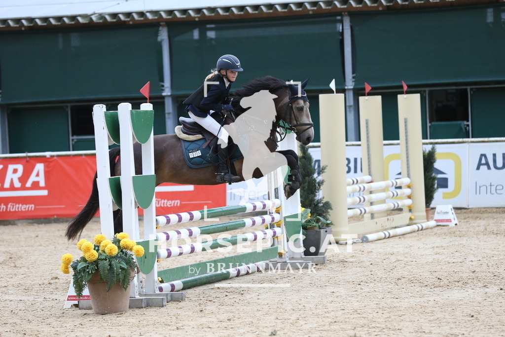 DL2Q4528 | Willkommen bei Brunnmayr - Design & Fotografie – Ihrem Spezialisten für Reitturniere und Pferdeveranstaltungen in Oberösterreich, Salzburg und Bayern! Seit über 17 Jahren sind wir leidenschaftlich dabei.
