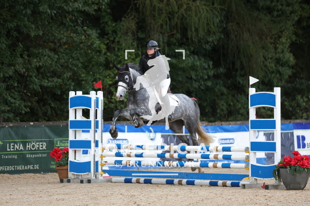 0P6A6714 | Willkommen bei Brunnmayr - Design & Fotografie – Ihrem Spezialisten für Reitturniere und Pferdeveranstaltungen in Oberösterreich, Salzburg und Bayern! Seit über 17 Jahren sind wir leidenschaftlich dabei.