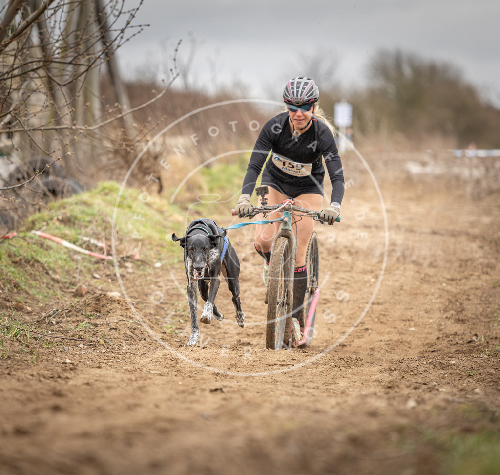 DV3A1714 | Hundefotografie, Tierfotograf, Pfotenfotografie, Fotoshooting Hund, Hunde Portrait, Hundesport, Hundeportraits, Heideshooting, Hunde, Sportfotograf, Hundefotograf, Turnierhundsport, THS,  - Realisiert mit Pictrs.com