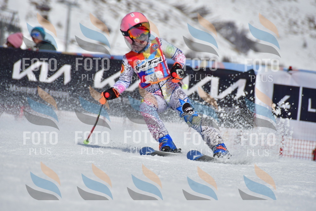 _DSC7442 | holidayphoto