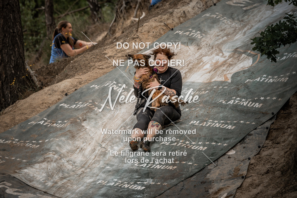 nelerasche_sa1000-1100_251 | nelerasche
