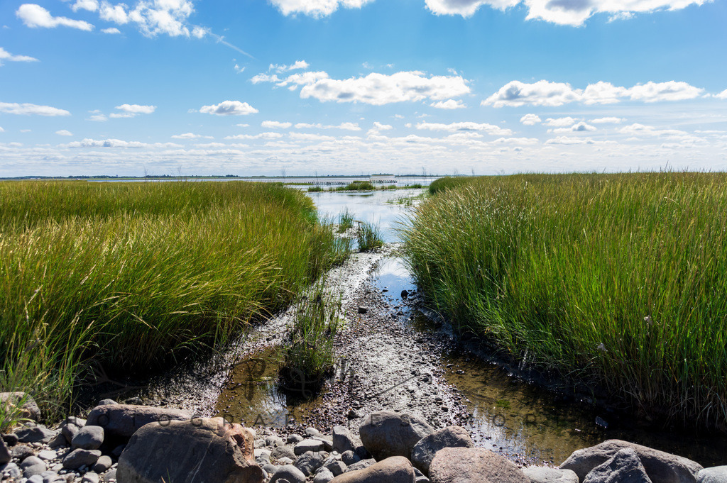 IMGP0410 | Nordseeinsel Mandö - Realisiert mit Pictrs.com