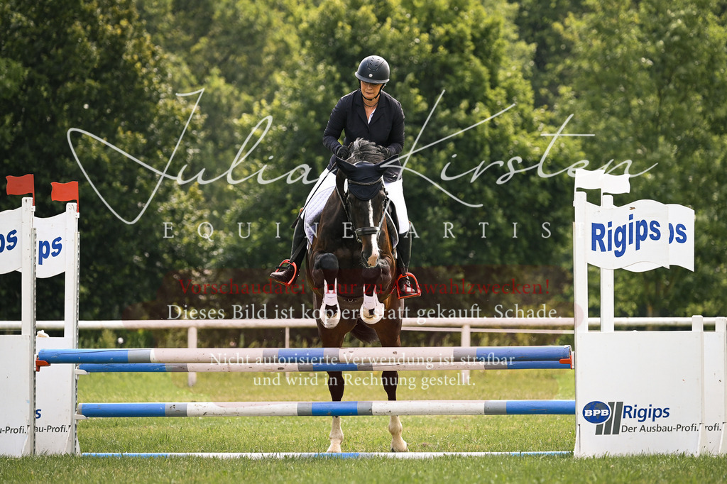 DSC_9102 | Pferde- und Turnierfotografie in Westsachsen. Pferdeportraits, Auftragszeichnungen und intuitive Kunst.