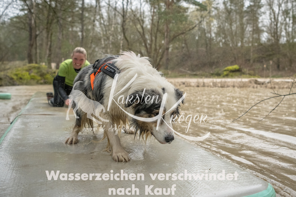 1046_ZZ93399-Bearbeitet | kk-dogfotos