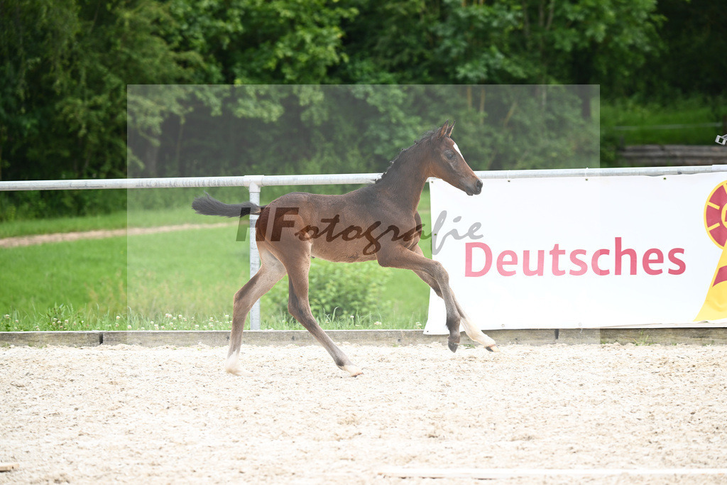 Chezarro x Chromico_HF_Berr_20241057 | hf-fotografie - Realisiert mit Pictrs.com