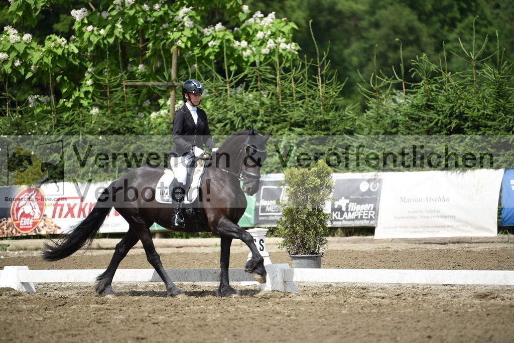 DSC_0806 | equestrian-live-com
