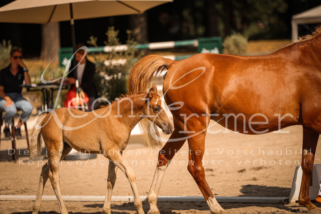 10.DoRP00160 | Leoni Ertmer Photography - Realisiert mit Pictrs.com