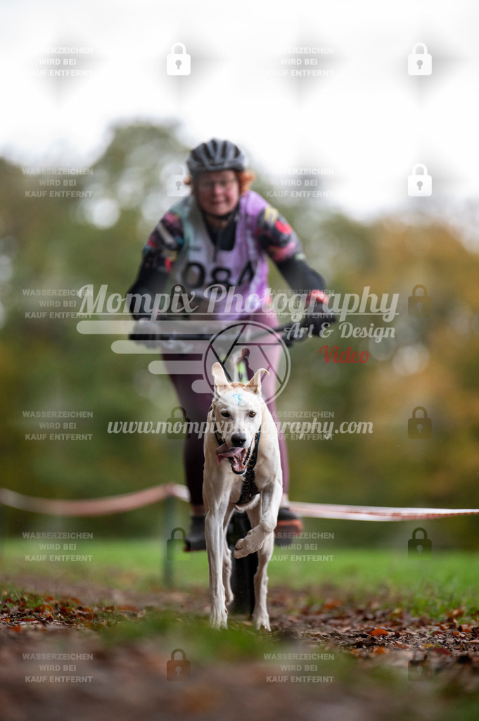DBT_DAKM_SA_4_11_2023_Bike-91 | PayLife