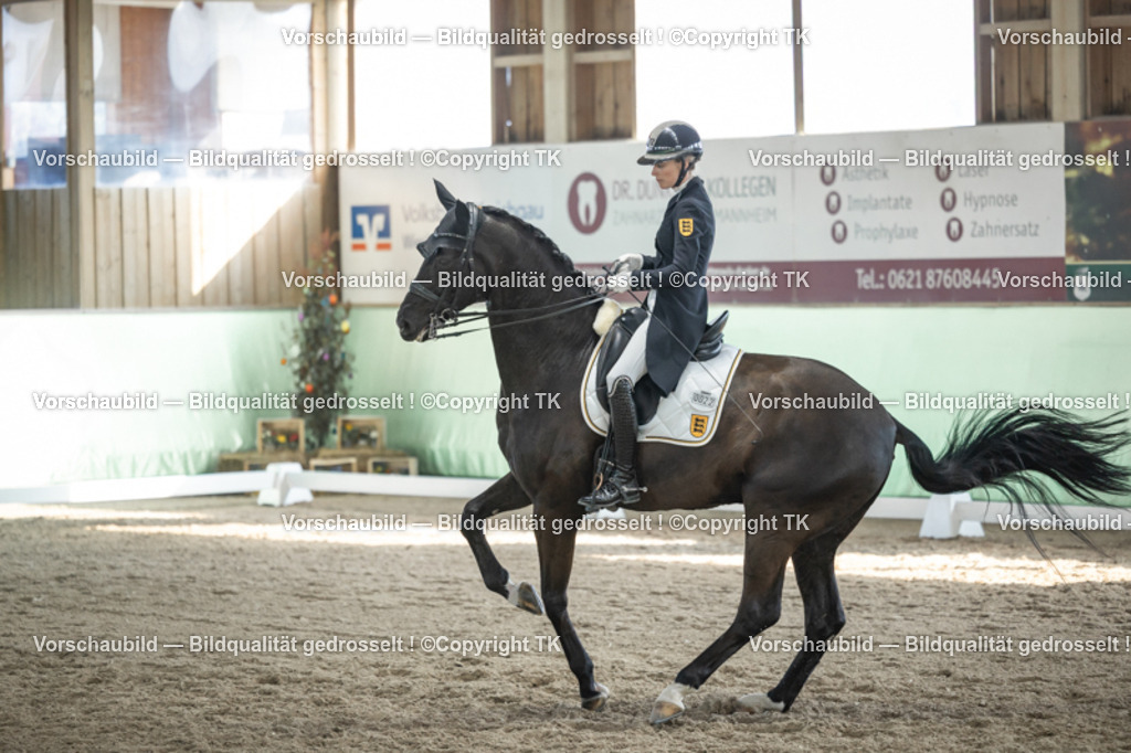 _D5A0303 | Emotionale Pferde- & People-Fotografie rund um Heidelberg, Leimen & Umgebung. Natürliche Fotos von Pferd, Mensch & Familie. Jetzt Termin sichern!