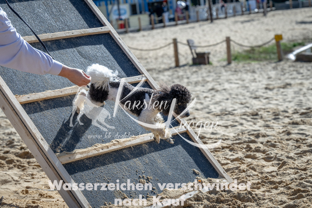 1327_ZZ90190 | kk-dogfotos