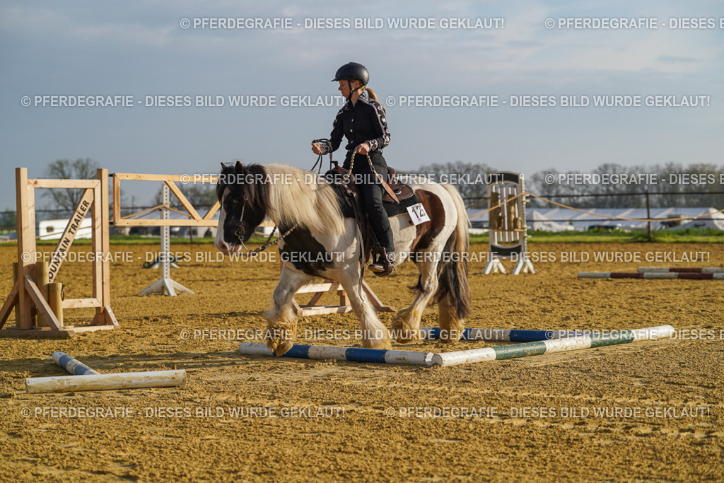 DSC00233 | Pferdegrafie